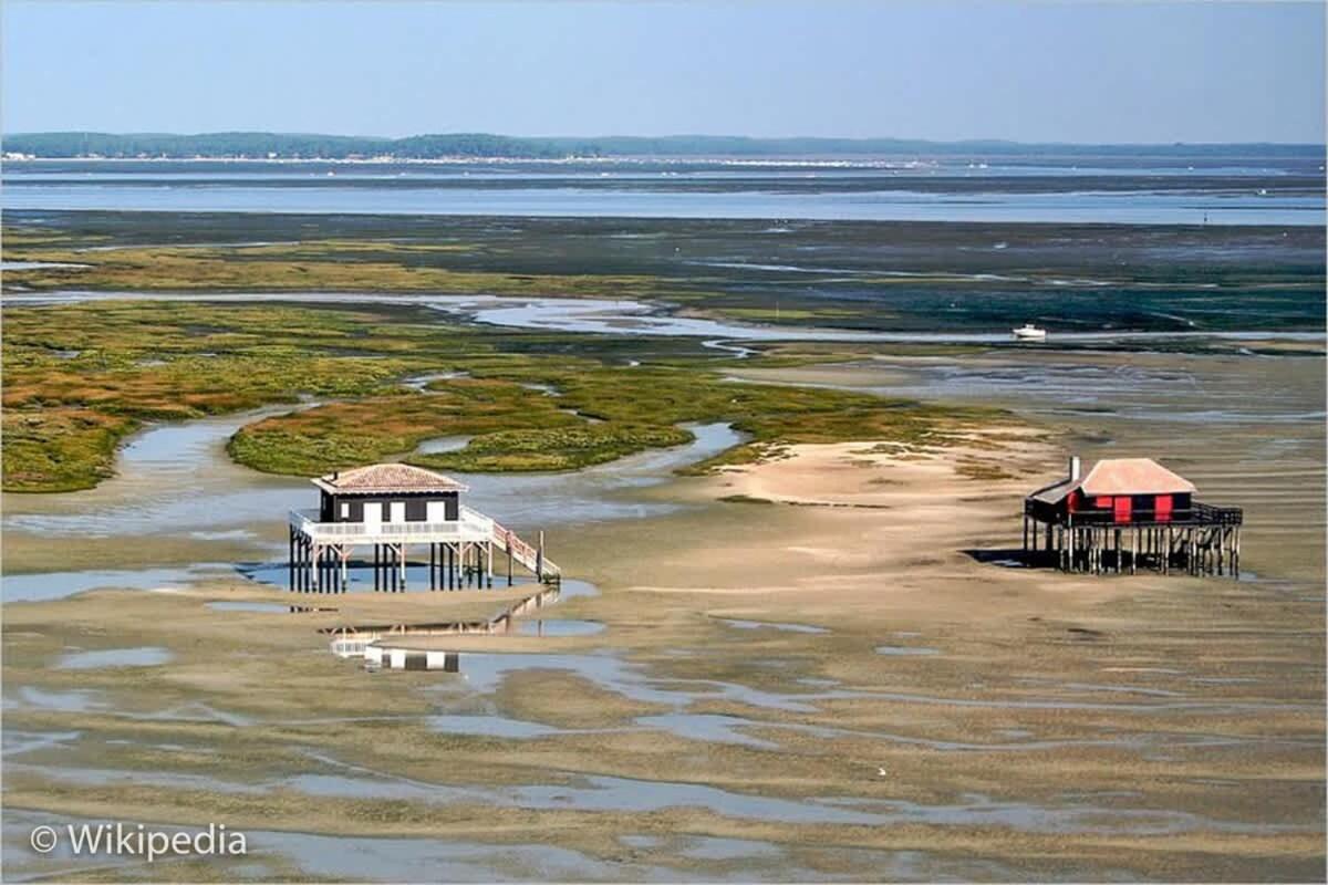Beautiful Louisiana Villa Sleeps 6 With Pool 미오 외부 사진