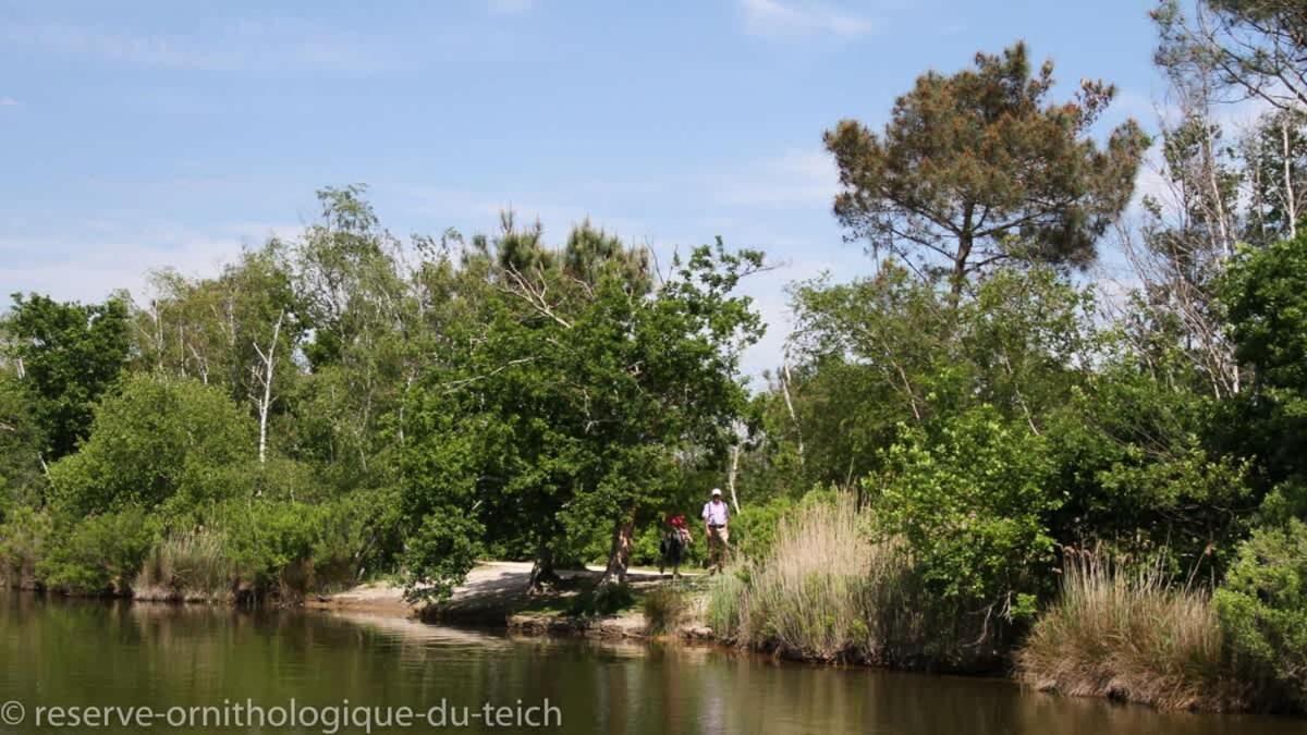Beautiful Louisiana Villa Sleeps 6 With Pool 미오 외부 사진